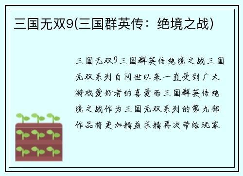三国无双9(三国群英传：绝境之战)